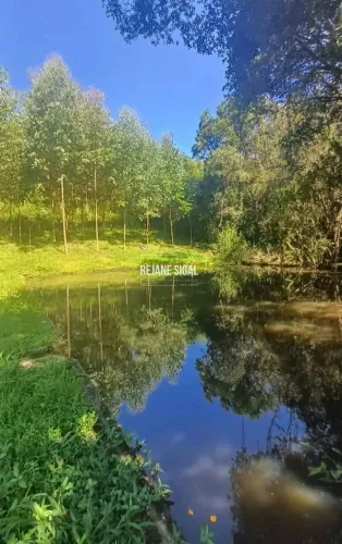 Sítio Morro Redondo