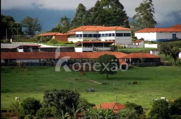 Fazenda de 458 hectares com 200 mil pés de café e potencial agrícola em Carmo de Minas/MG.