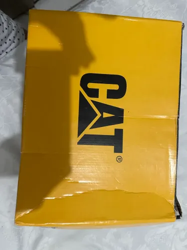 Bota da cat nova na caixa 