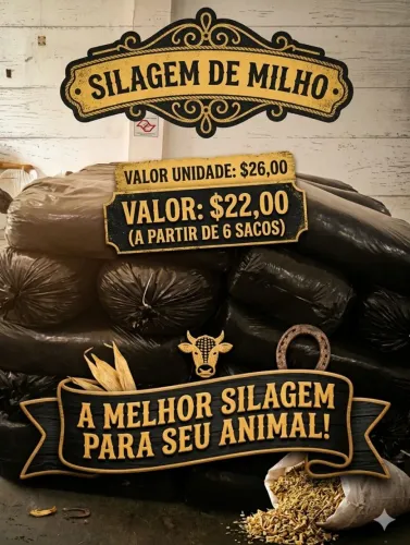 Silagem de milho para cavalos