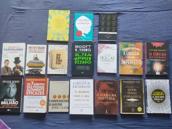 Kit 17 livros
