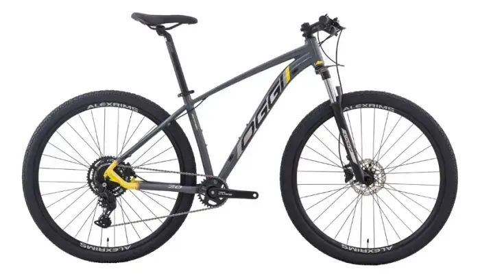 Bicicleta Oggi