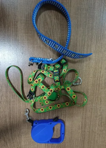 Coleira para cachorro porte pequeno 