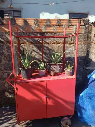 Carrinho de mão para vendas 