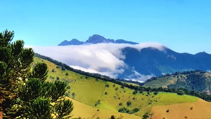 Jardim do Itaguaré