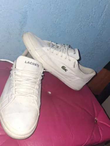 Tenis da lacoste original 
