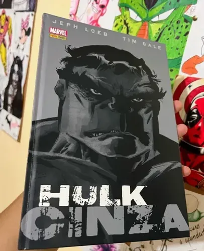 Hulk cinza capa dura nova