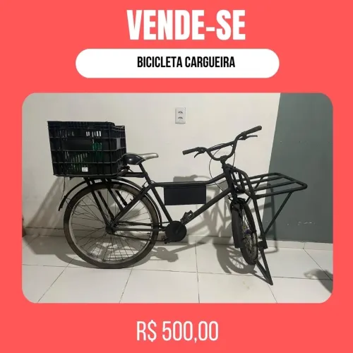 Bicicleta cargueira