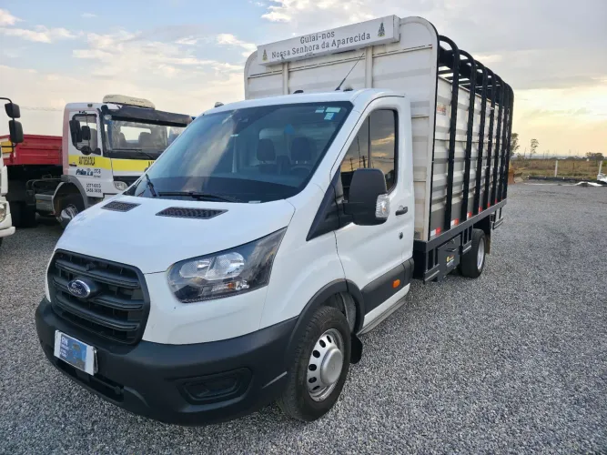 Ford transit boiadeira 