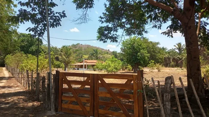 Sítio na Nazaria -PI (Venda)