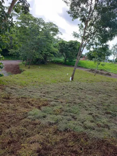 Já Entregamos Sua Grama Plantada.!