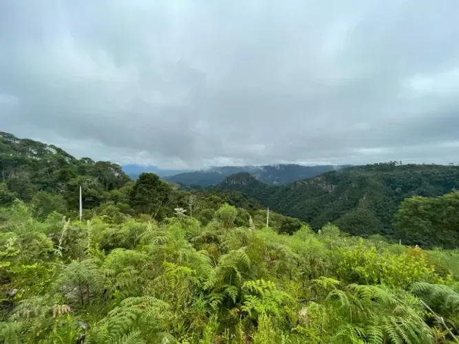 Chácara de 2 Hectares Santa Tereza, Urubici-SC