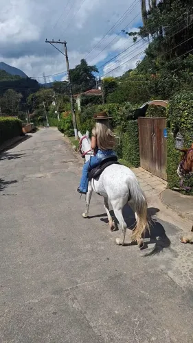 Vende égua, pura de marcha picada,