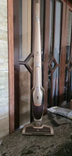 Aspirador Electrolux ERGORAPIDO 18V HD