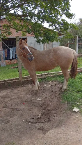 Baixei o preço para vender logo