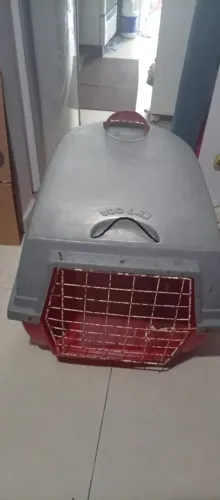 caixa de transporte pet porte médio