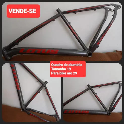 Quadro Lotus tam.19