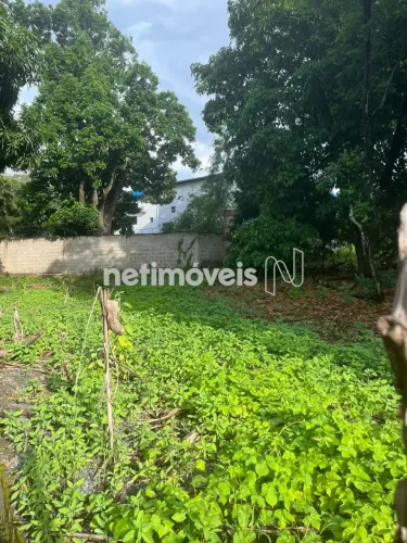 Venda Lote-Área-Terreno Dona Lourdes São José da Lapa