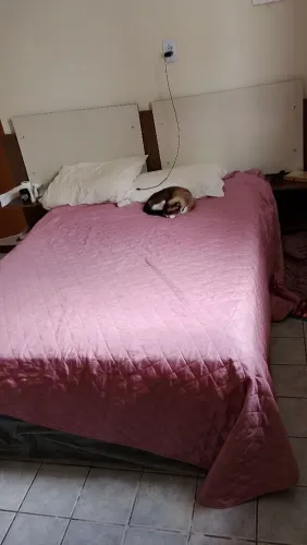Cama de casal semi-nova com cabeceira