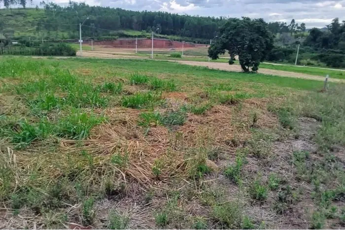 Terreno à venda, 1.376 m² por R$ 130.000 - Terras Santa Maria - Itapira/SP.