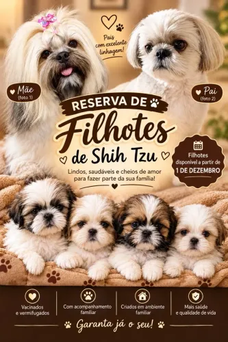 Filhote Shih tzu reserva