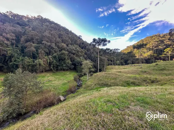 Sítio de 15,4 hectares no Barreiro Bom Retiro, Serra Catarinense