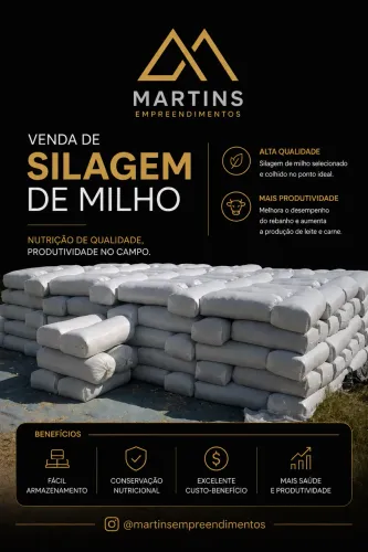 SILAGEM DE MILHO 