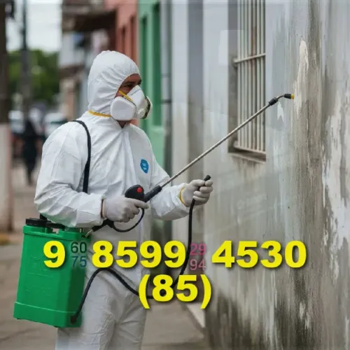 dedetização contra pragas em amadeu furtado e centro, atendimento ágil e seguro!