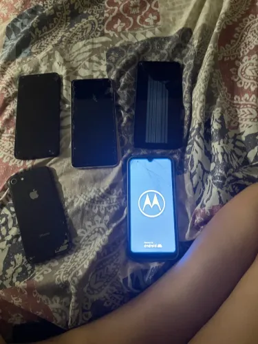 Celulares 