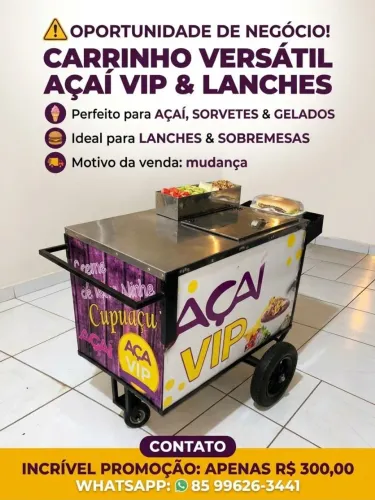 CARRINHO PARA GELADOS, AÇAÍ, SORVETE, CERVE6E ETC