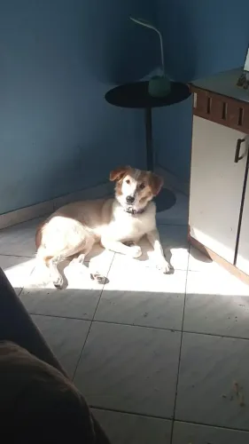 Doação responsável 