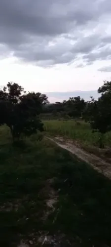 Terreno de 25 hectares com casa ,no município de João Pinheiro MG