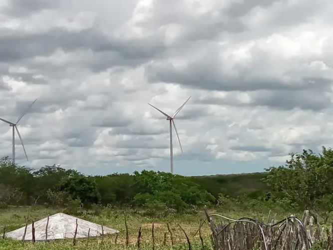 fazenda com 770 hectares com 12 aerogeradires  com renda de 35 mil mês
