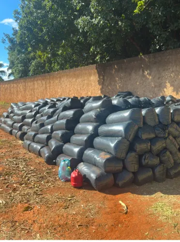 Silagem, silo de milho ensacado 