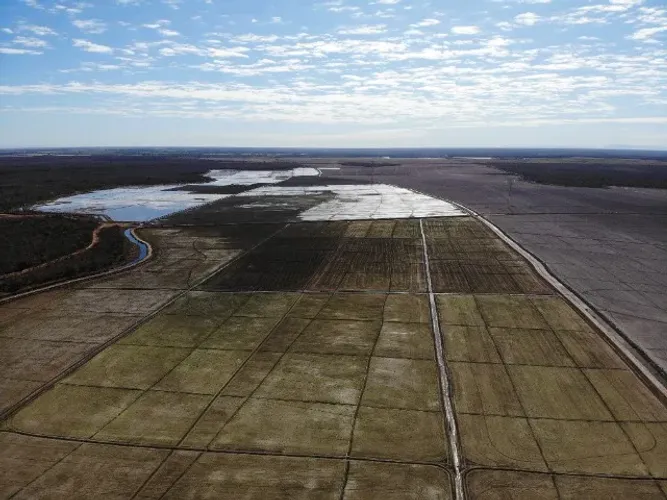 Perito Engenheiro Agrônomo | Perícias Agronômicas | Avaliação de Imóvel Rural