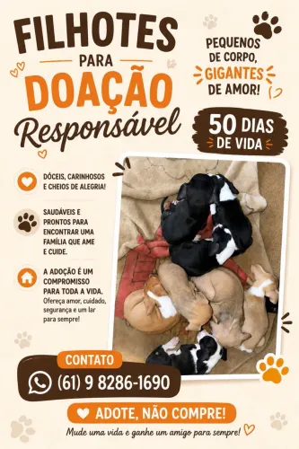 Doação responsável 