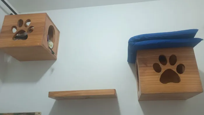 Casinha para Gatos