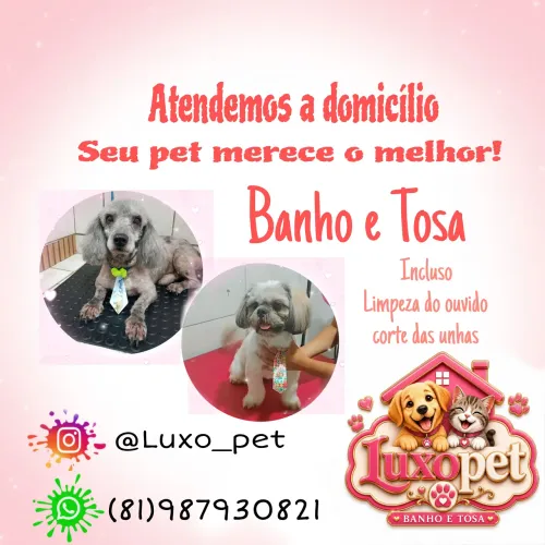 BANHO E TOSA