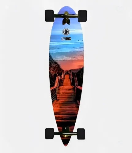 Skates Longboard