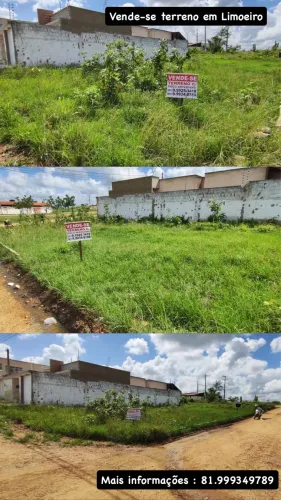 Terreno 200m em Limoeiro PE - Já com poço artesiano