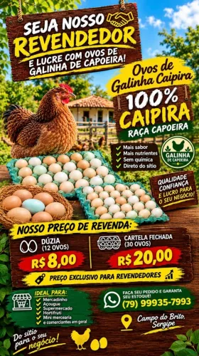 Ovos de galinha de capoeira|caipira