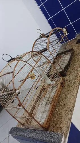 Gaiolas