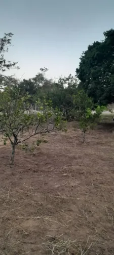 VENDE-SE CHÁCARA NO BAIRRO PLANALTO DA SERRA VERDE PRÓXIMO A HONDA EM ITIRAPINA/SP