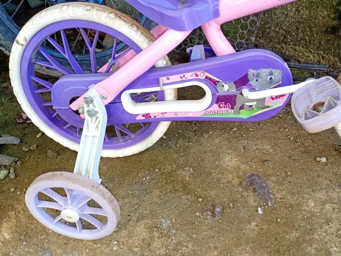 Bicicleta infantil menina 