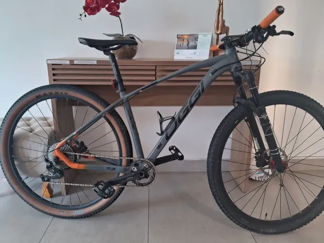 Mtb oggi 17 7.3