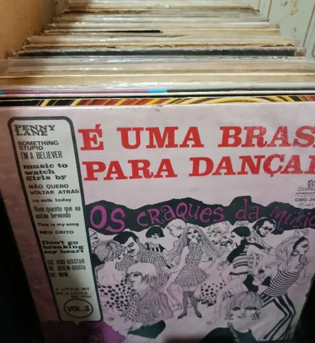 Lote com 20 LP's Raridades anos 50 à 80