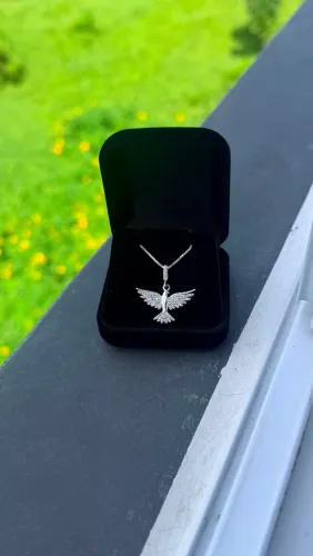Colar com Espírito Santo - Prata 925k- Aceitamos cartões - Entrega imediata