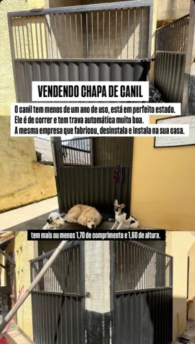 CHAPA DE CANIL