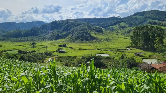 Sitio em Águas Mornas - SC