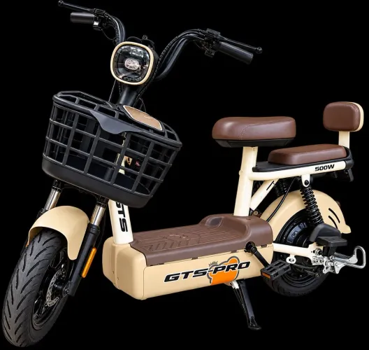 Bicicleta Elétrica GTS Pro 500w